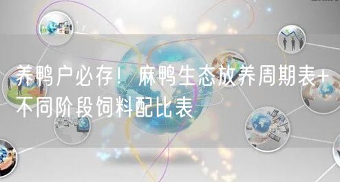 养鸭户必存！麻鸭生态放养周期表+不同阶段饲料配比表