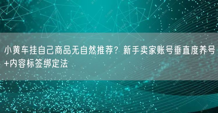 小黄车挂自己商品无自然推荐？新手卖家账号垂直度养号+内容标签绑定法