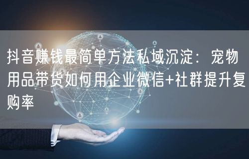 抖音赚钱最简单方法私域沉淀：宠物用品带货如何用企业微信+社群提升复购率