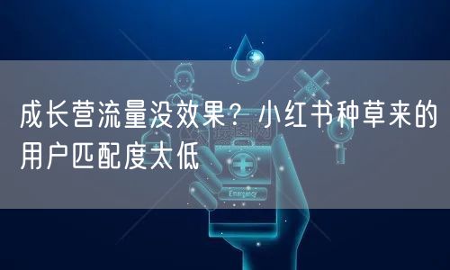 成长营流量没效果？小红书种草来的用户匹配度太低