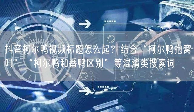 抖音柯尔鸭视频标题怎么起？结合“柯尔鸭抱窝吗”“柯尔鸭和番鸭区别”等混淆类搜索词