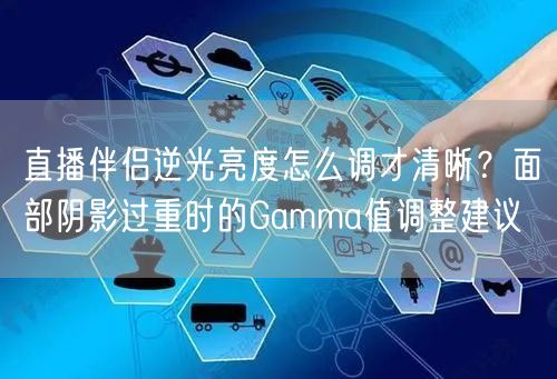 直播伴侣逆光亮度怎么调才清晰？面部阴影过重时的Gamma值调整建议