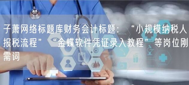 子萧网络标题库财务会计标题：“小规模纳税人报税流程”“金蝶软件凭证录入教程”等岗