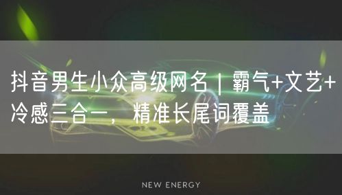 抖音男生小众高级网名｜霸气+文艺+冷感三合一，精准长尾词覆盖