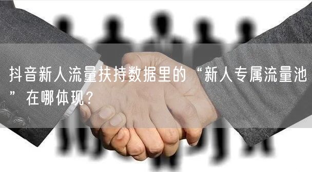 抖音新人流量扶持数据里的“新人专属流量池”在哪体现？