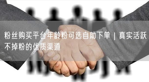 粉丝购买平台年龄粉可选自助下单｜真实活跃不掉粉的优质渠道